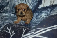 processed/8d012584-bb90-4109-bc58-374fb9e160a9/listing/099c267b-2c69-4673-af97-99d03fa8a3f2/0578c917-2cd9-4c9a-a378-1420ffb2ae09