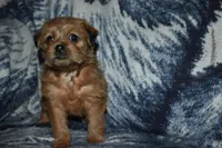 processed/8d012584-bb90-4109-bc58-374fb9e160a9/listing/099c267b-2c69-4673-af97-99d03fa8a3f2/13e763ae-8056-41fd-bbe4-f161dcf6ef8f