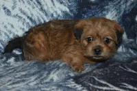 processed/8d012584-bb90-4109-bc58-374fb9e160a9/listing/099c267b-2c69-4673-af97-99d03fa8a3f2/3d2973f7-9a9b-4226-89a3-91d428634f5e