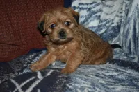 processed/8d012584-bb90-4109-bc58-374fb9e160a9/listing/099c267b-2c69-4673-af97-99d03fa8a3f2/4713df07-6547-48fb-8872-91876b8ce653