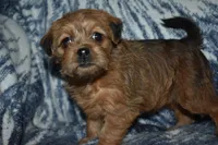 processed/8d012584-bb90-4109-bc58-374fb9e160a9/listing/099c267b-2c69-4673-af97-99d03fa8a3f2/c8a5aaf6-0cd7-47b2-86e1-499ee75659ba