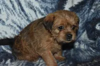 processed/8d012584-bb90-4109-bc58-374fb9e160a9/listing/099c267b-2c69-4673-af97-99d03fa8a3f2/ca982080-33c6-4259-881c-960a4d0e95bf