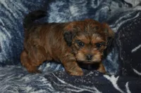 processed/8d012584-bb90-4109-bc58-374fb9e160a9/listing/ddb9d5b9-9e0b-4aa0-a75a-29db1e5c6037/14db80b0-7620-4d57-b55e-4e3d88ba9d77