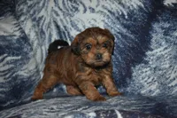 processed/8d012584-bb90-4109-bc58-374fb9e160a9/listing/ddb9d5b9-9e0b-4aa0-a75a-29db1e5c6037/5ec6bd90-57cc-4e2e-a10e-21457a8758bc