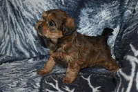 processed/8d012584-bb90-4109-bc58-374fb9e160a9/listing/ddb9d5b9-9e0b-4aa0-a75a-29db1e5c6037/68099368-ef05-4626-aa7a-2e5a6d5de17d