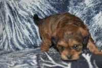 processed/8d012584-bb90-4109-bc58-374fb9e160a9/listing/ddb9d5b9-9e0b-4aa0-a75a-29db1e5c6037/768967d4-d1d0-49e4-9fdb-8f165707cda2