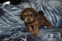 processed/8d012584-bb90-4109-bc58-374fb9e160a9/listing/ddb9d5b9-9e0b-4aa0-a75a-29db1e5c6037/8bb20739-fd0b-4c98-b6bb-c405ea516e51