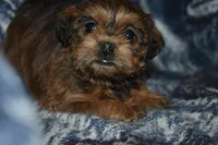 processed/8d012584-bb90-4109-bc58-374fb9e160a9/listing/ddb9d5b9-9e0b-4aa0-a75a-29db1e5c6037/a23193bb-3dbb-4d8b-a177-72c5dc769153