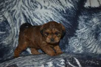 processed/8d012584-bb90-4109-bc58-374fb9e160a9/listing/ddb9d5b9-9e0b-4aa0-a75a-29db1e5c6037/bbbed2e1-9d85-41e3-92e8-b654c8345ed2