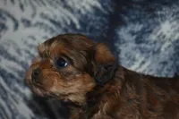 processed/8d012584-bb90-4109-bc58-374fb9e160a9/listing/ddb9d5b9-9e0b-4aa0-a75a-29db1e5c6037/c307ea6c-e279-4299-b9cc-969ac0419385