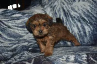 processed/8d012584-bb90-4109-bc58-374fb9e160a9/listing/ddb9d5b9-9e0b-4aa0-a75a-29db1e5c6037/ff5efb4b-4c6d-4bba-b563-2facbc652b46