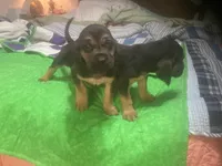 processed/8d067a31-9cac-47df-b4c5-5e2cb71f449c/listing/328f2fed-d3ad-4865-95a2-e4a93da17152/8d4b2100-6ad0-4757-b171-bcfe9fddd022