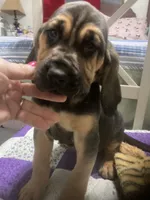 processed/8d067a31-9cac-47df-b4c5-5e2cb71f449c/listing/328f2fed-d3ad-4865-95a2-e4a93da17152/a0342fa8-5821-431c-9fb0-b0705f3aa3da