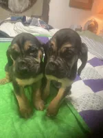 processed/8d067a31-9cac-47df-b4c5-5e2cb71f449c/listing/328f2fed-d3ad-4865-95a2-e4a93da17152/b20887d0-e569-48cf-8e26-9e4bcd1a68d4