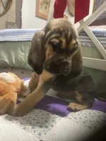 processed/8d067a31-9cac-47df-b4c5-5e2cb71f449c/listing/328f2fed-d3ad-4865-95a2-e4a93da17152/bd50ccfe-7b8e-4faf-98eb-0e108f1f485a