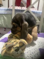 processed/8d067a31-9cac-47df-b4c5-5e2cb71f449c/listing/328f2fed-d3ad-4865-95a2-e4a93da17152/d2a2a38b-fe21-40a4-b4f7-ffe378d3b70c