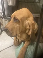 processed/8d067a31-9cac-47df-b4c5-5e2cb71f449c/listing/78a2ecf8-44d1-45cf-9e5d-990fff9467b0/6dcea09f-7a5a-4623-a44d-f6ecf4144091