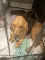 processed/8d067a31-9cac-47df-b4c5-5e2cb71f449c/listing/78a2ecf8-44d1-45cf-9e5d-990fff9467b0/7d0e8637-20e4-4289-8c8e-c5140bbab502