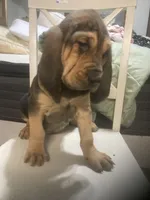 processed/8d067a31-9cac-47df-b4c5-5e2cb71f449c/listing/c1d25ef4-4a92-40a4-897c-62aab49f6718/203f6039-f7df-4d82-a4fe-65f6c039511b