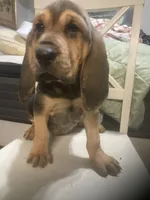 processed/8d067a31-9cac-47df-b4c5-5e2cb71f449c/listing/c1d25ef4-4a92-40a4-897c-62aab49f6718/47226a2d-6f95-4fb0-bbdd-f3f277c398cf