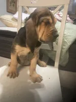 processed/8d067a31-9cac-47df-b4c5-5e2cb71f449c/listing/c1d25ef4-4a92-40a4-897c-62aab49f6718/a5dc464f-b3ac-4957-be6d-e9abdd7a9b4e