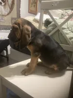 processed/8d067a31-9cac-47df-b4c5-5e2cb71f449c/listing/de29571b-b0ec-43e1-af61-30ff053c2f73/0c77d1da-61d7-4ffb-ac81-42ef97101169