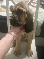 processed/8d067a31-9cac-47df-b4c5-5e2cb71f449c/listing/de29571b-b0ec-43e1-af61-30ff053c2f73/2d5dc931-1c3c-44fe-8cf2-f8513a6305d8