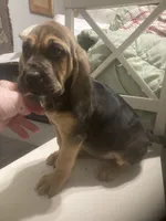 processed/8d067a31-9cac-47df-b4c5-5e2cb71f449c/listing/de29571b-b0ec-43e1-af61-30ff053c2f73/746de3b0-aa38-4d87-81bf-d2015e6aa3b5