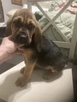 processed/8d067a31-9cac-47df-b4c5-5e2cb71f449c/listing/de29571b-b0ec-43e1-af61-30ff053c2f73/9b90fa68-2c67-4a0b-8397-cb820bf2dc36