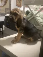 processed/8d067a31-9cac-47df-b4c5-5e2cb71f449c/listing/de29571b-b0ec-43e1-af61-30ff053c2f73/a3d4a39f-adac-40d6-a403-02017953c401