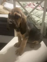 processed/8d067a31-9cac-47df-b4c5-5e2cb71f449c/listing/de29571b-b0ec-43e1-af61-30ff053c2f73/d1709df5-3bd7-4588-af20-04f6d5961fe1