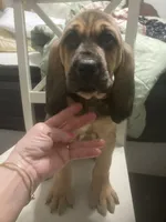 processed/8d067a31-9cac-47df-b4c5-5e2cb71f449c/listing/de29571b-b0ec-43e1-af61-30ff053c2f73/e0d34d99-a41b-4b10-89bc-91d6d72329d7