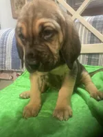 processed/8d067a31-9cac-47df-b4c5-5e2cb71f449c/listing/f8e6cb0c-0de3-4a9c-91d7-2abaa4e098a3/020e72c5-1bd6-4d4f-8d92-01f12b284f10