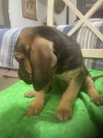 processed/8d067a31-9cac-47df-b4c5-5e2cb71f449c/listing/f8e6cb0c-0de3-4a9c-91d7-2abaa4e098a3/082601b0-8545-4451-9022-eed167313f32