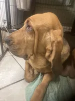 processed/8d067a31-9cac-47df-b4c5-5e2cb71f449c/listing/f8e6cb0c-0de3-4a9c-91d7-2abaa4e098a3/2f971b36-c0f1-4574-922a-67881ad850d8