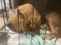 processed/8d067a31-9cac-47df-b4c5-5e2cb71f449c/listing/f8e6cb0c-0de3-4a9c-91d7-2abaa4e098a3/319f92aa-5977-4e6f-8a08-fd448ed21648