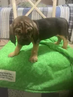 processed/8d067a31-9cac-47df-b4c5-5e2cb71f449c/listing/f8e6cb0c-0de3-4a9c-91d7-2abaa4e098a3/329ce293-797a-4590-bd6b-b181962a4ec2