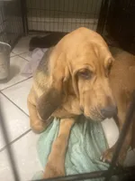 processed/8d067a31-9cac-47df-b4c5-5e2cb71f449c/listing/f8e6cb0c-0de3-4a9c-91d7-2abaa4e098a3/9b348aad-7ec0-43f2-8e63-a6ad1448cdef