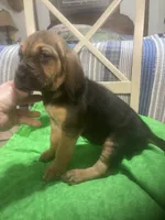 processed/8d067a31-9cac-47df-b4c5-5e2cb71f449c/listing/f8e6cb0c-0de3-4a9c-91d7-2abaa4e098a3/c230712f-2faf-467a-bb4c-229b154cd81e