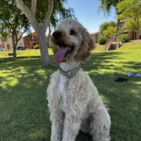 processed/8d0ba6e5-5814-4736-8e26-c3a23677eb5d/facility/bcf35ee5-1f86-458f-a387-bf8bfd9a4373