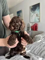 processed/8d0ba6e5-5814-4736-8e26-c3a23677eb5d/facility/c57ae690-e48b-4912-a479-923e158cd096