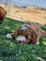 processed/8d0ba6e5-5814-4736-8e26-c3a23677eb5d/facility/d84f4725-e128-42ab-a7f3-a957c171eab8