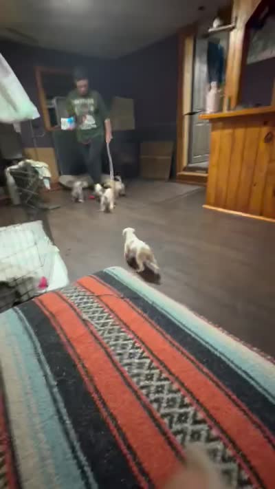 Facility video