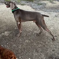 processed/8d0e9992-d210-4eb0-83b9-ee61c8e03161/facility/23923cde-1e9f-4ad7-a1b7-c8c8a1b60a60