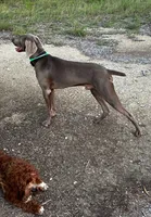 processed/8d0e9992-d210-4eb0-83b9-ee61c8e03161/facility/23923cde-1e9f-4ad7-a1b7-c8c8a1b60a60