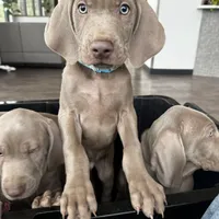 processed/8d0e9992-d210-4eb0-83b9-ee61c8e03161/facility/46e230ce-c119-4c31-92af-03901f2bcc33