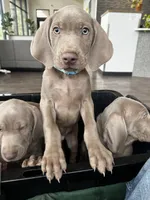 processed/8d0e9992-d210-4eb0-83b9-ee61c8e03161/facility/46e230ce-c119-4c31-92af-03901f2bcc33