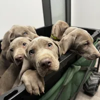 processed/8d0e9992-d210-4eb0-83b9-ee61c8e03161/facility/582d42d2-ad53-4a61-b171-5b1ca06df83e