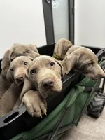 processed/8d0e9992-d210-4eb0-83b9-ee61c8e03161/facility/582d42d2-ad53-4a61-b171-5b1ca06df83e