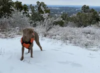 processed/8d0e9992-d210-4eb0-83b9-ee61c8e03161/facility/7e189861-06f3-4ad8-938f-393ce7587ff1